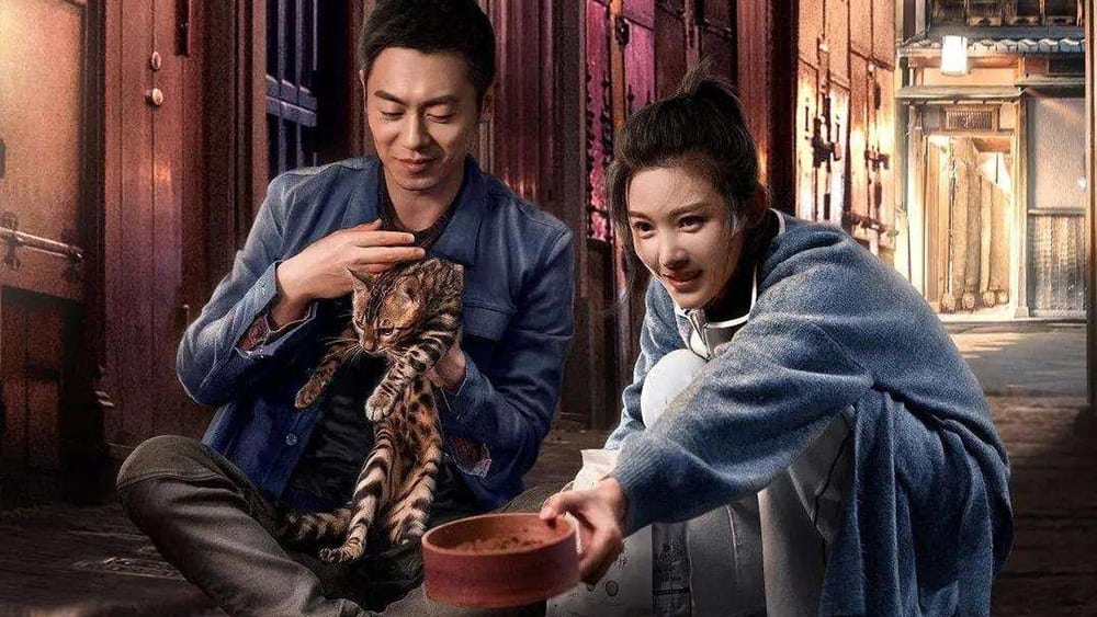 Chiếc Bóng Sư Tử Trên Thân Mèo