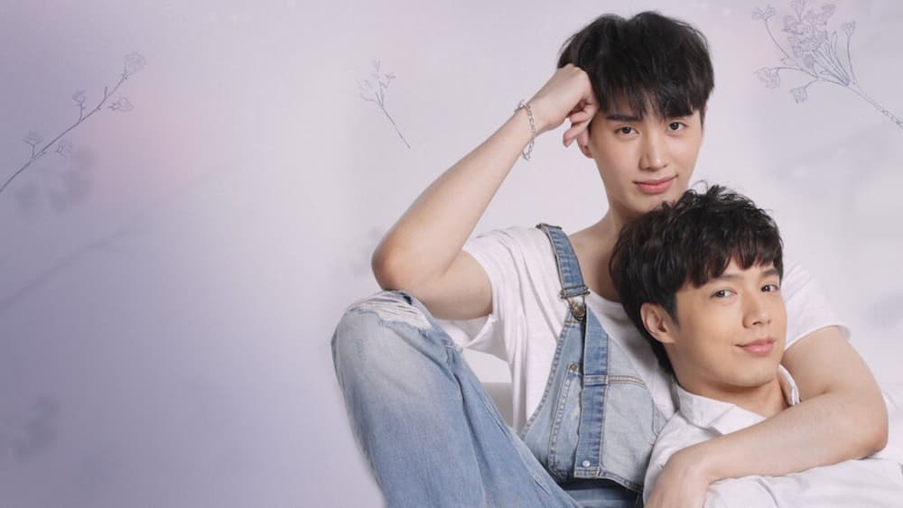 Chú Gấu Bông Kỳ Diệu
