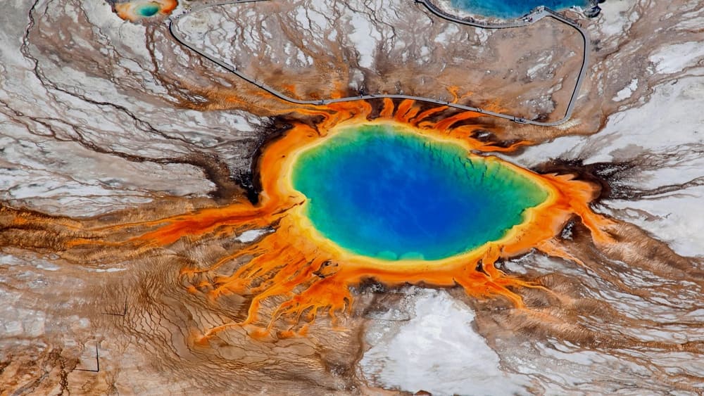 Yellowstone: Cuộc Chiến Giành Sự Sống