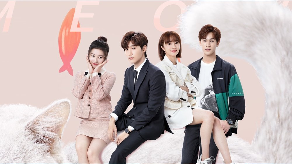 Bất Cẩn Meow Phải Anh