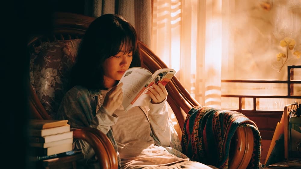 Josée, Nàng Thơ Của Tôi