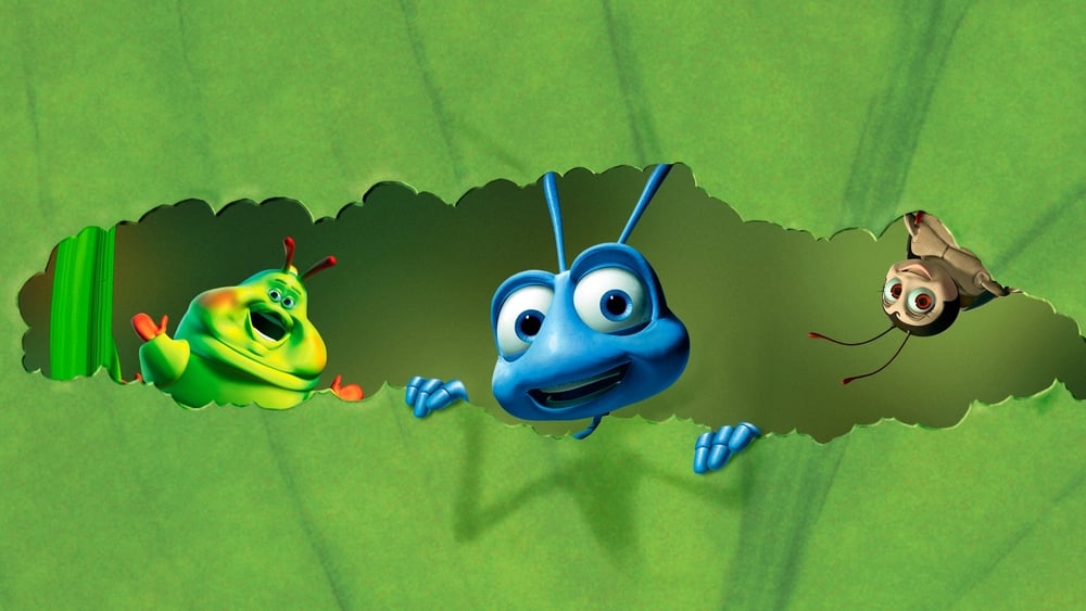 Đời Con Bọ