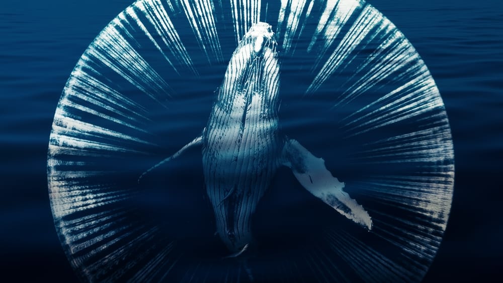 Dưới Lòng Đại Dương - Fathom