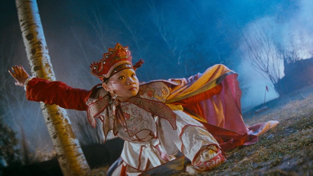 Hoàng Phi Hồng 4
