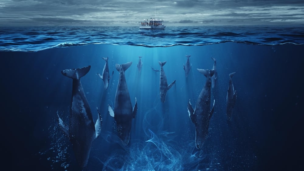 The Swarm