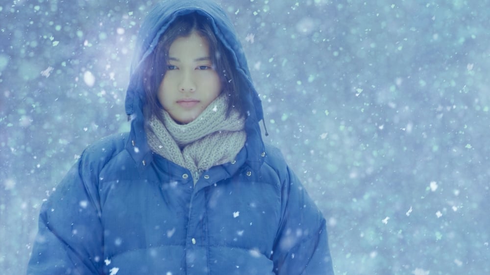Cánh Đồng Nhỏ: Đông/Xuân